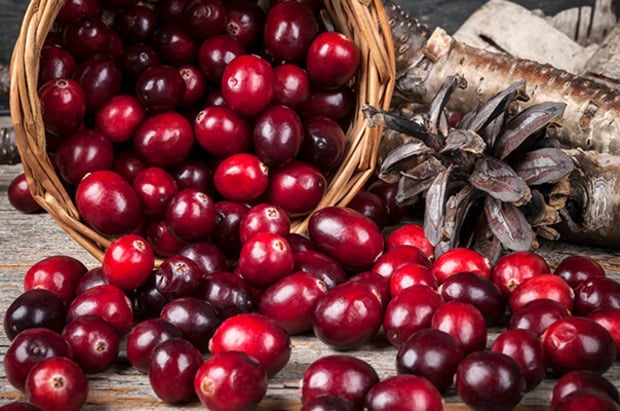 Korb mit frischen Cranberrys